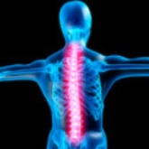 rheumathologie_wirbelsaeule_schmerzpunkte_128.jpg